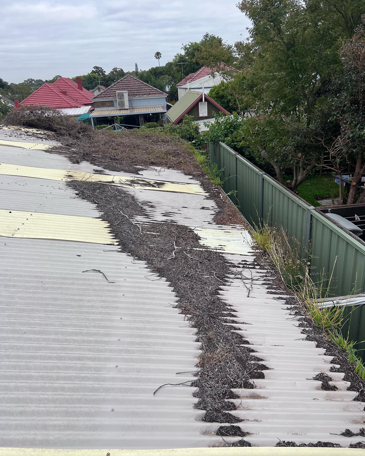 Professional Gutter Cleaning