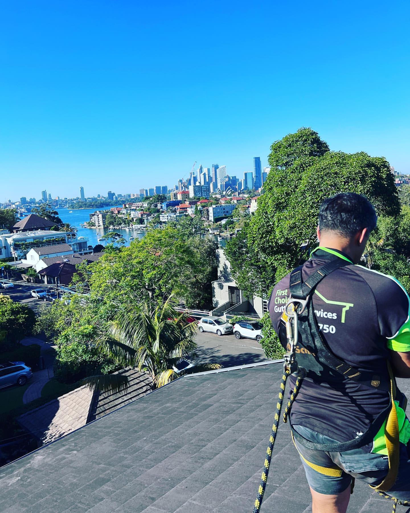 Solar Panel Cleaning