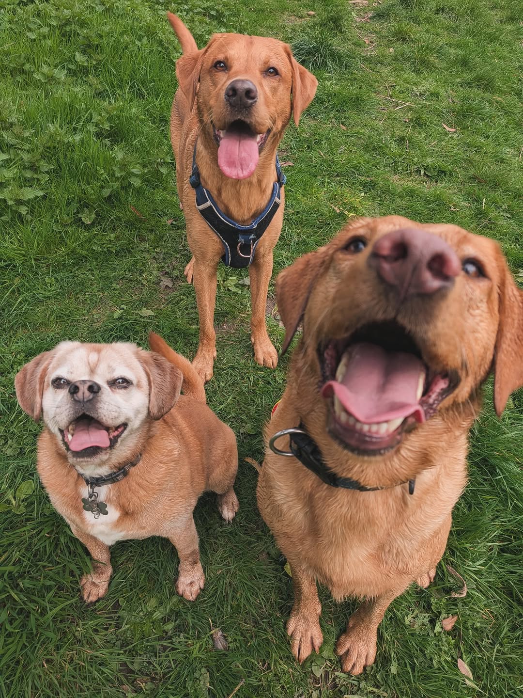 Group Walking Adventures