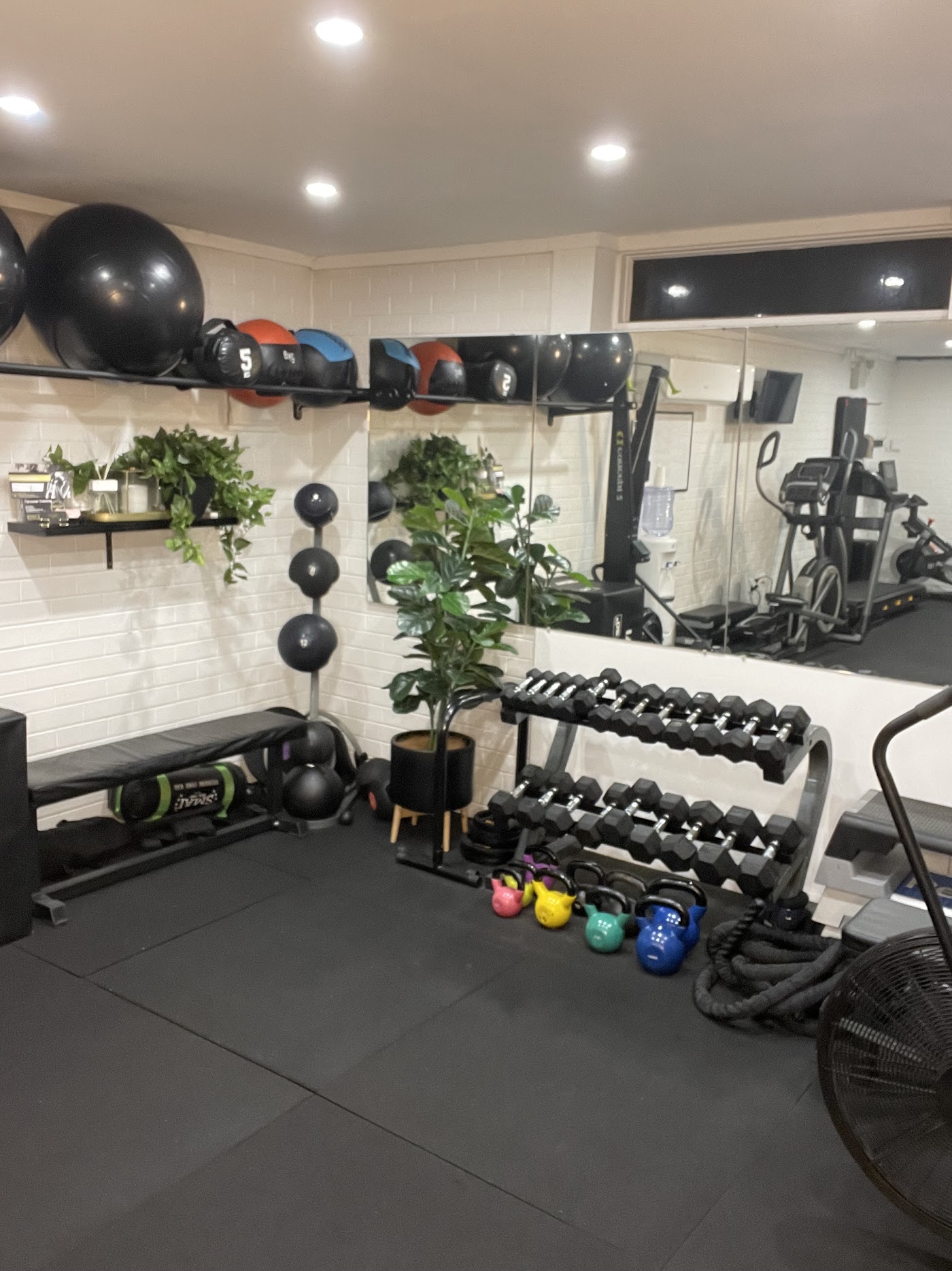 Home fitness programs