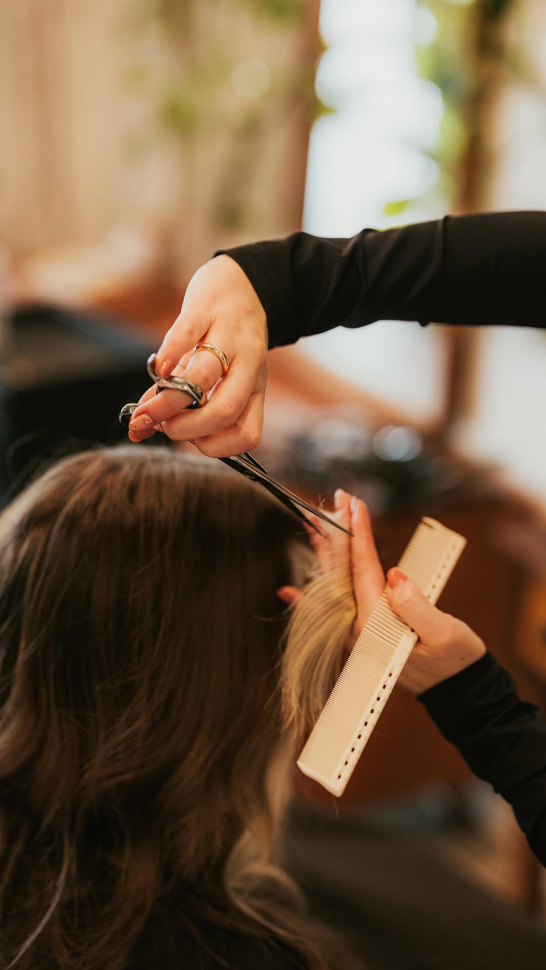 Colour and Highlights