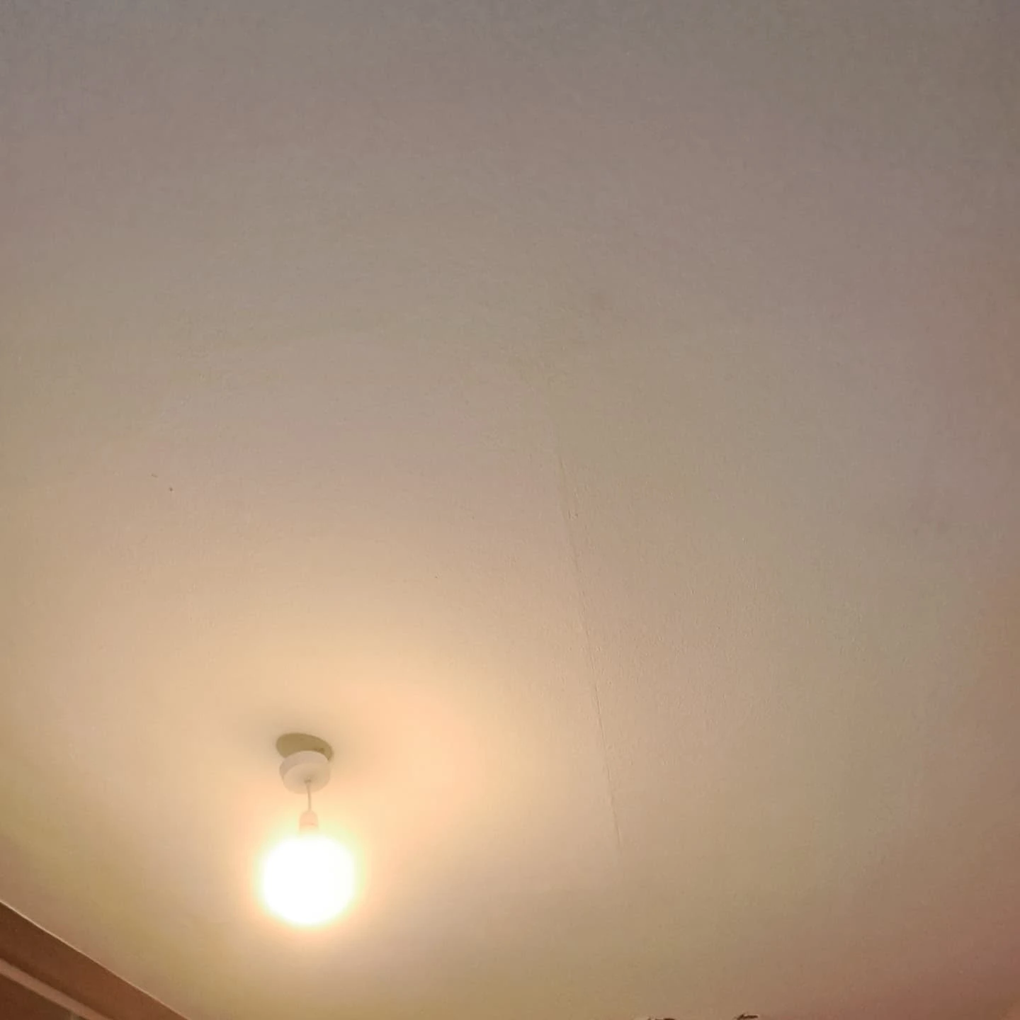 Plastering & Wall Prep
