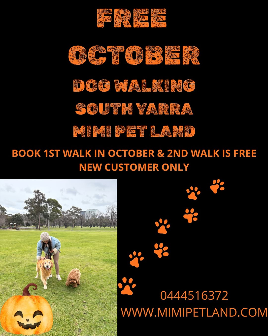 Dog Boarding