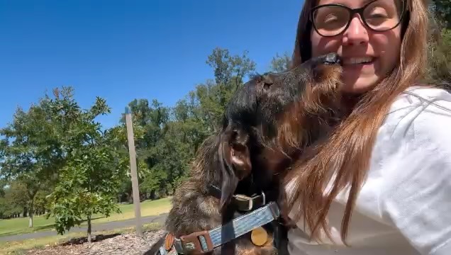 Expert Pet Updates