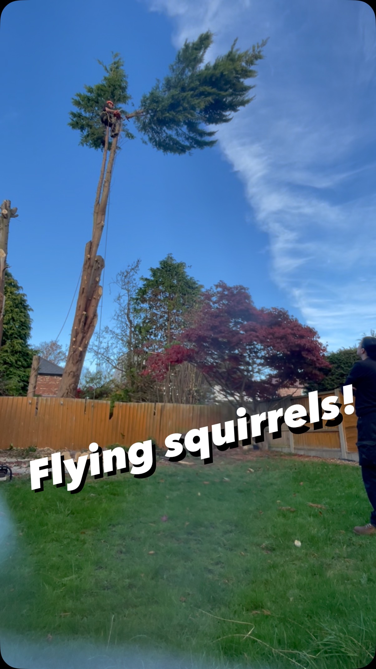 Tree Pruning