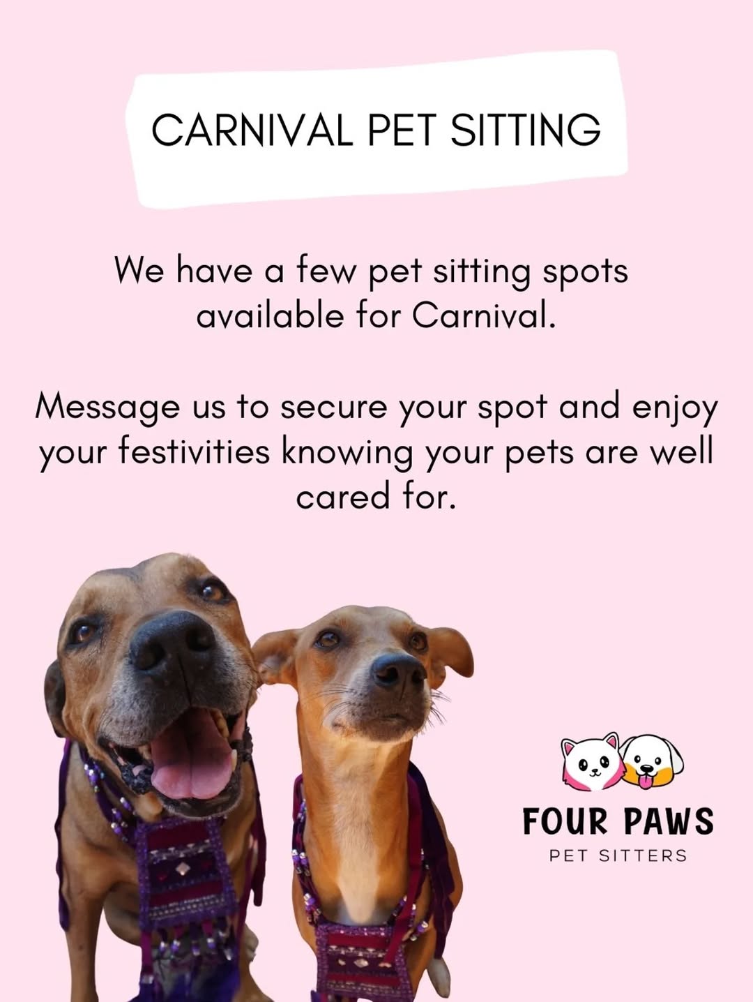 Pet Sitting Services