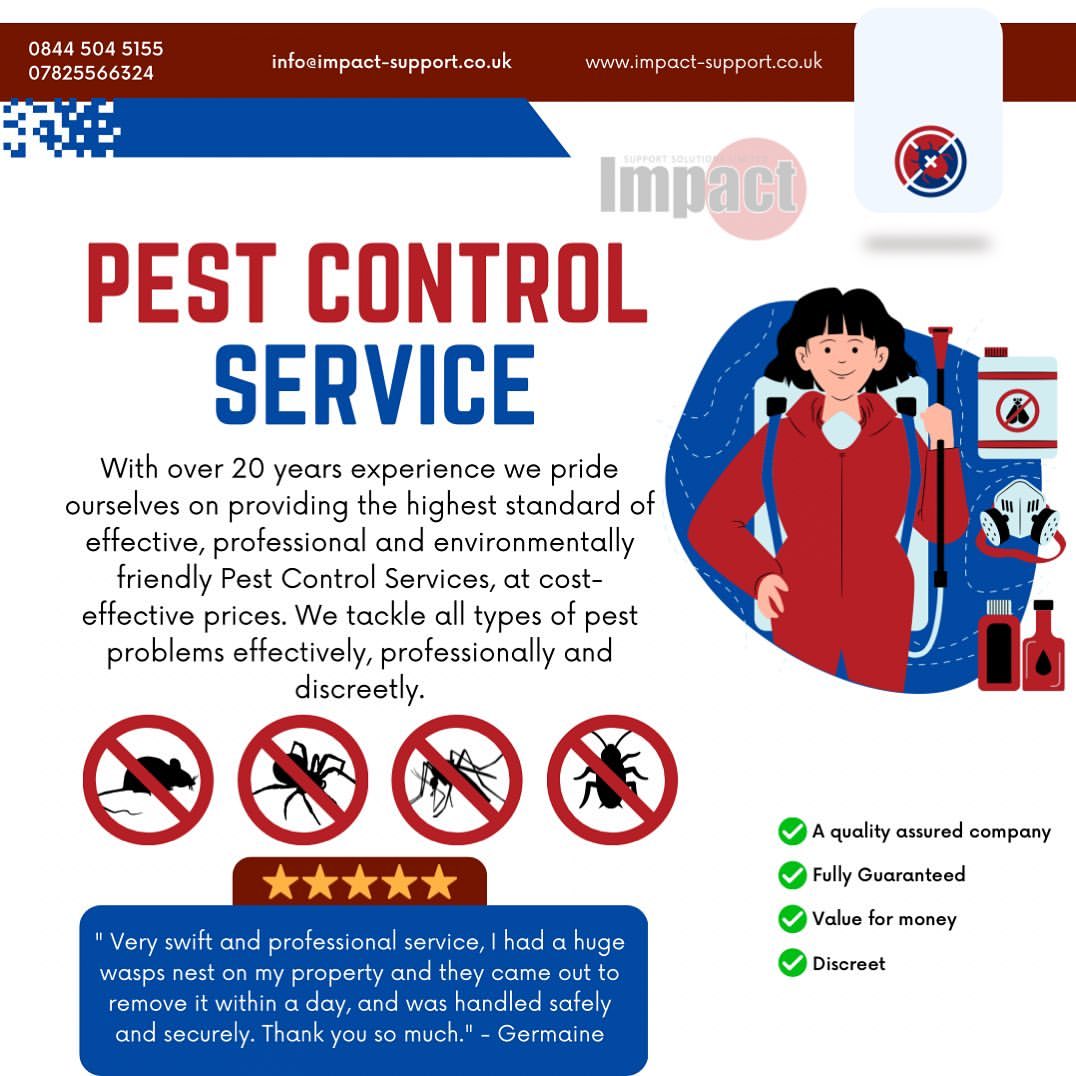 Termite Inspections