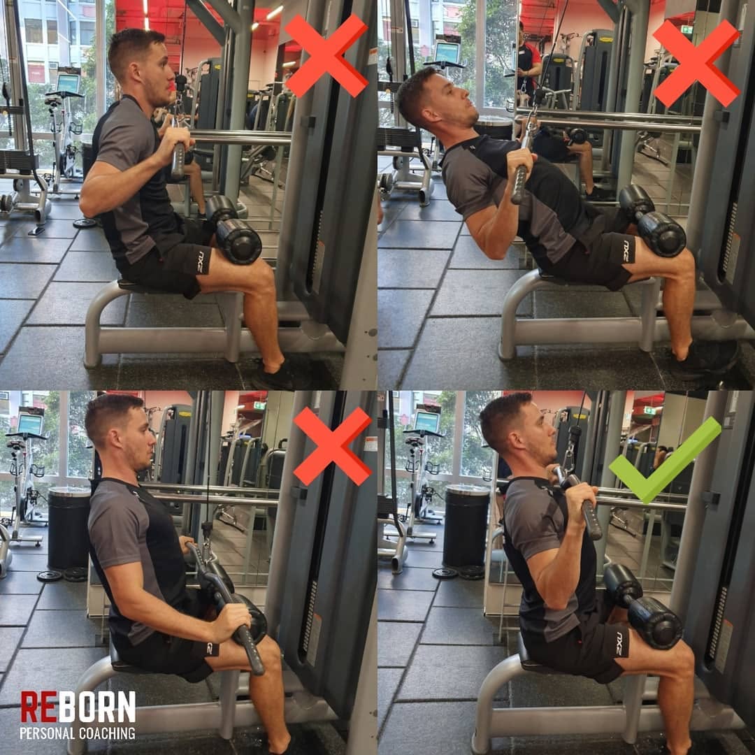 Body Composition Coaching