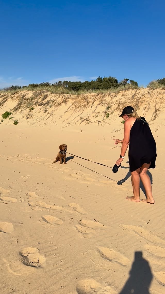 Mobile Dog Training