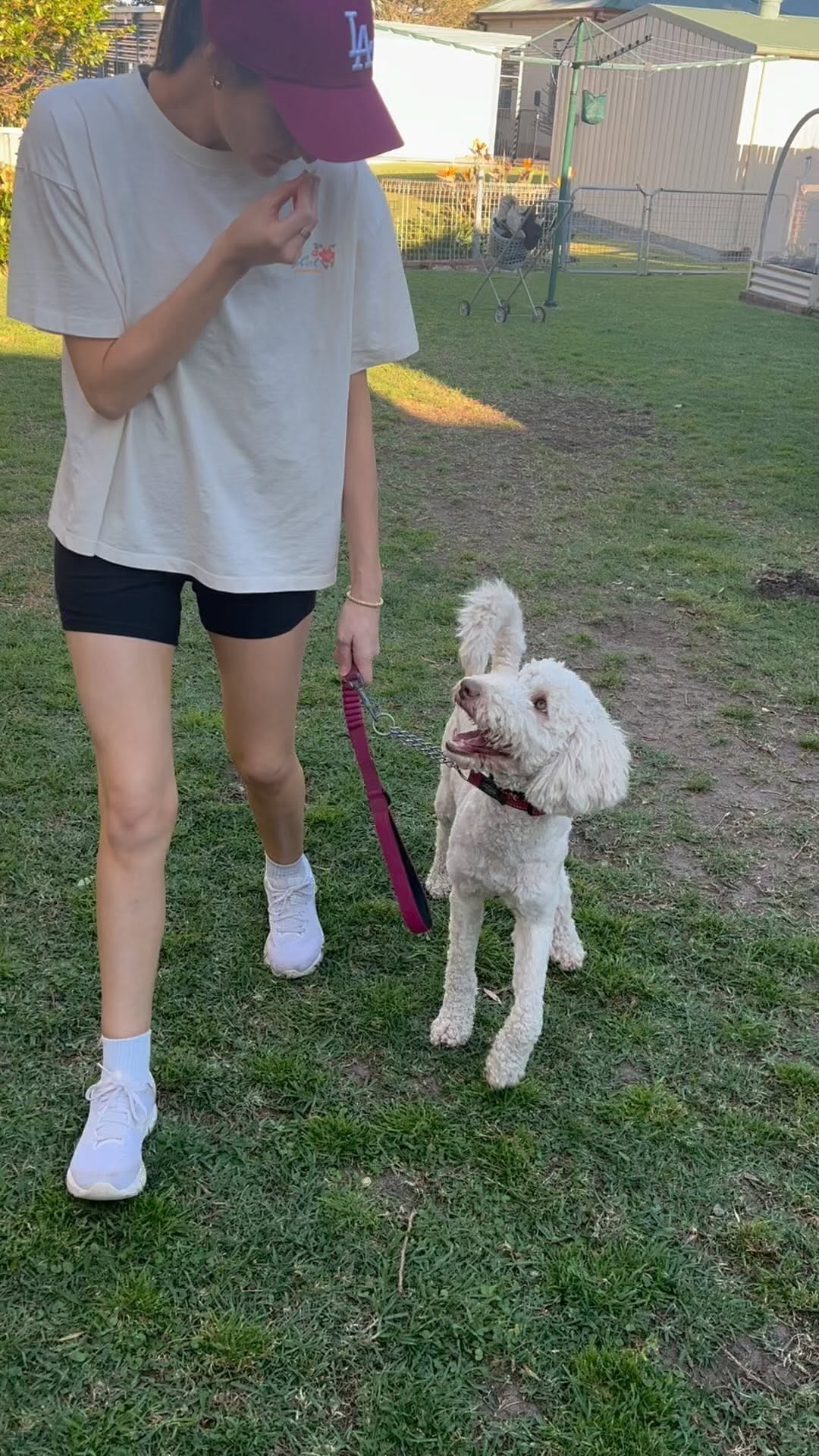 Puppy Guidance