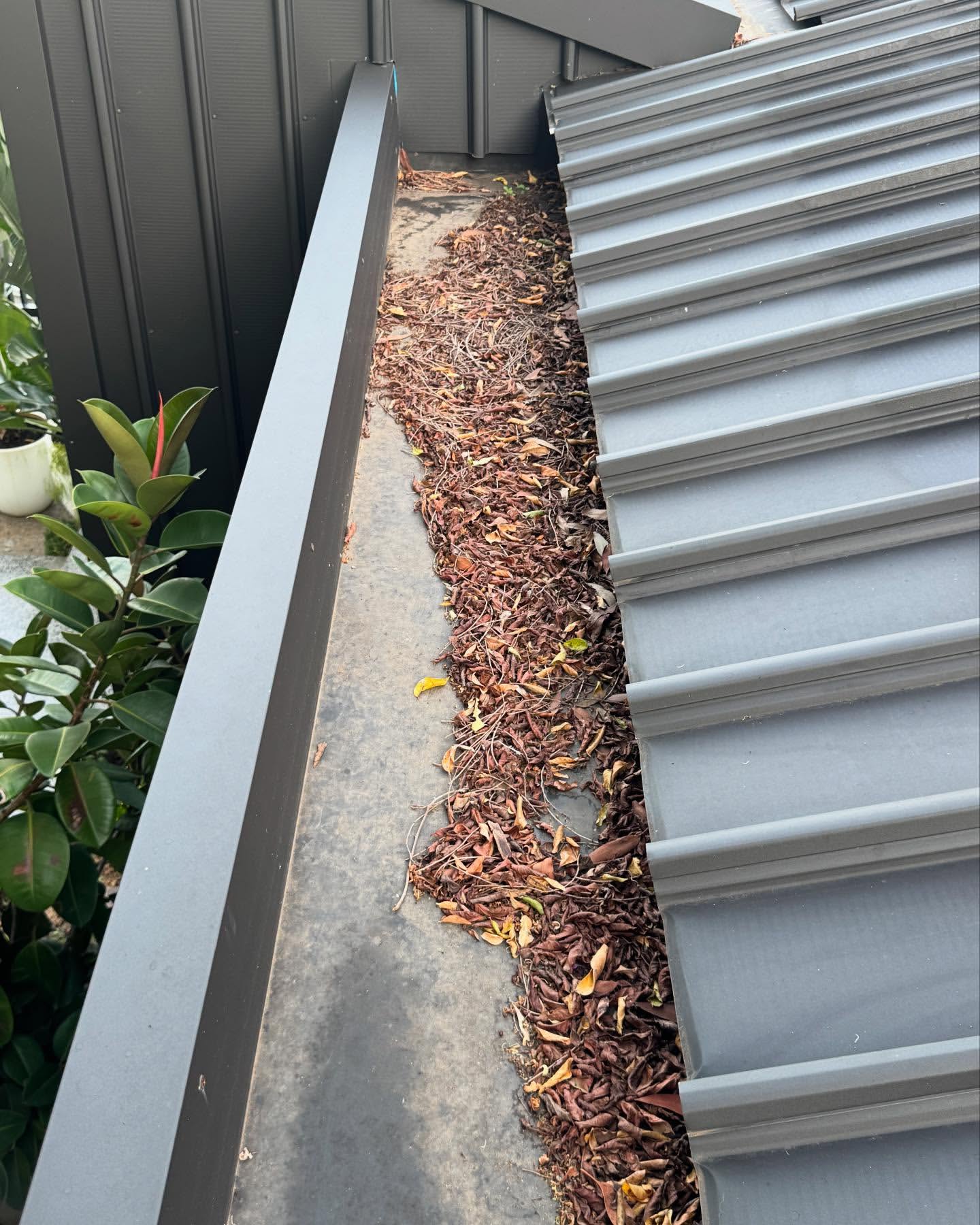 Downpipe Replacement