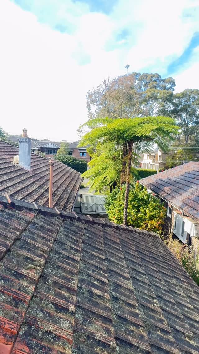 Roof Painting & Restoration