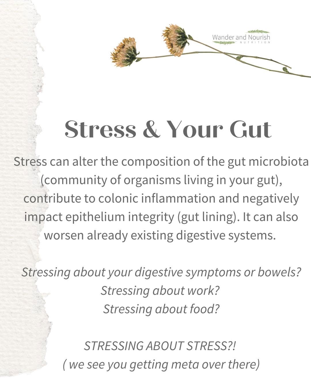 Self-compassion nutrition